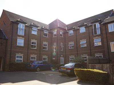 Picture 14